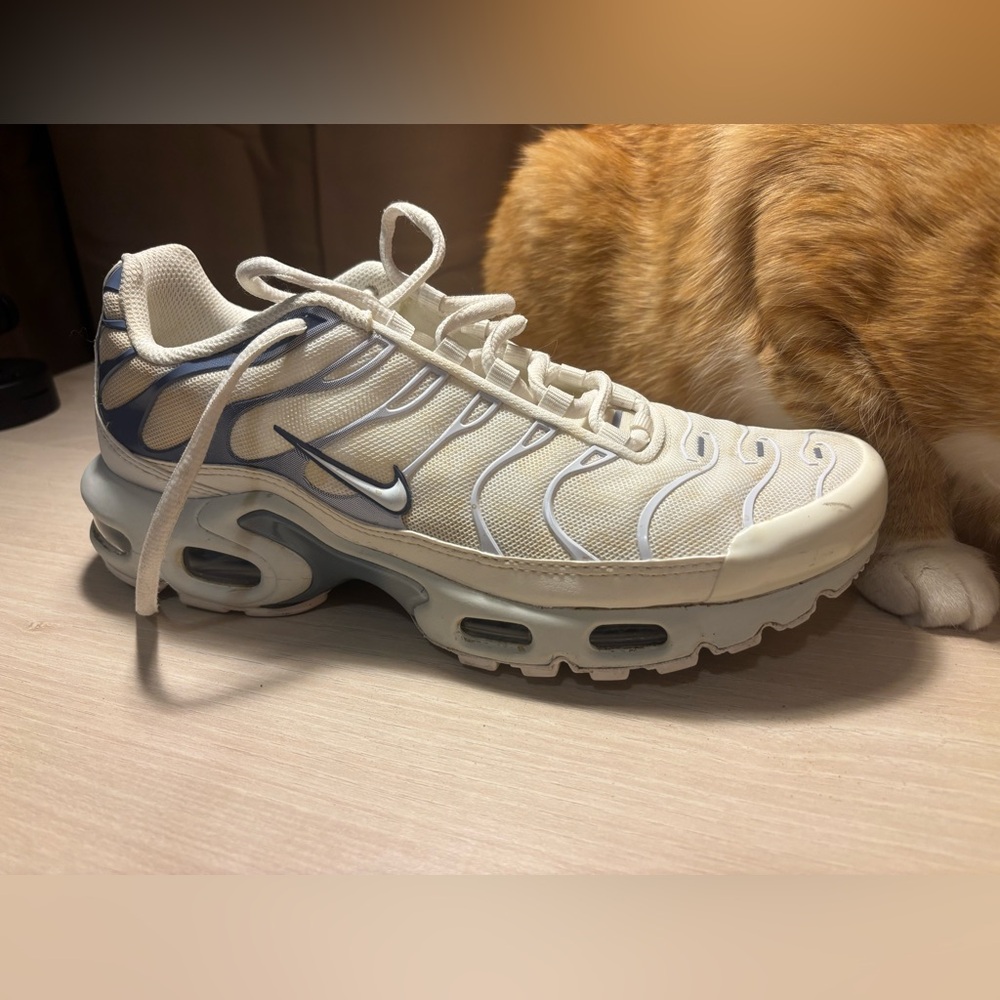 Nike Air Max Plus Women’s Sneakers (White and Ashen Slate)